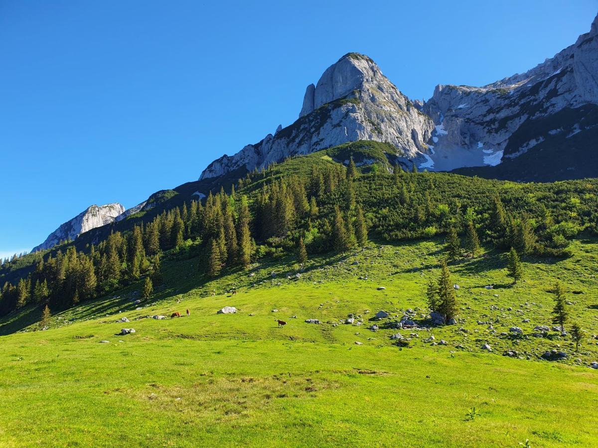 Haus Salzkammergut Obertraun Ngoại thất bức ảnh