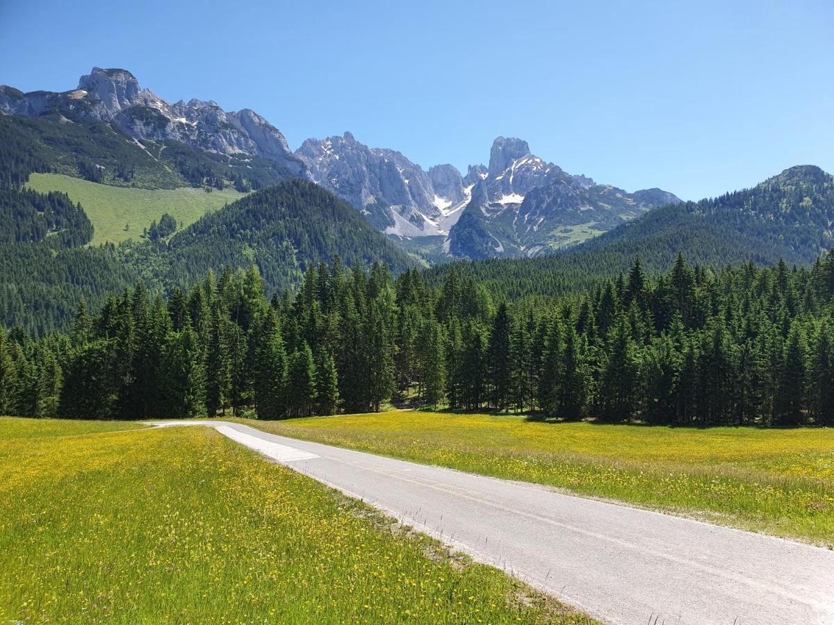 Haus Salzkammergut Obertraun Ngoại thất bức ảnh