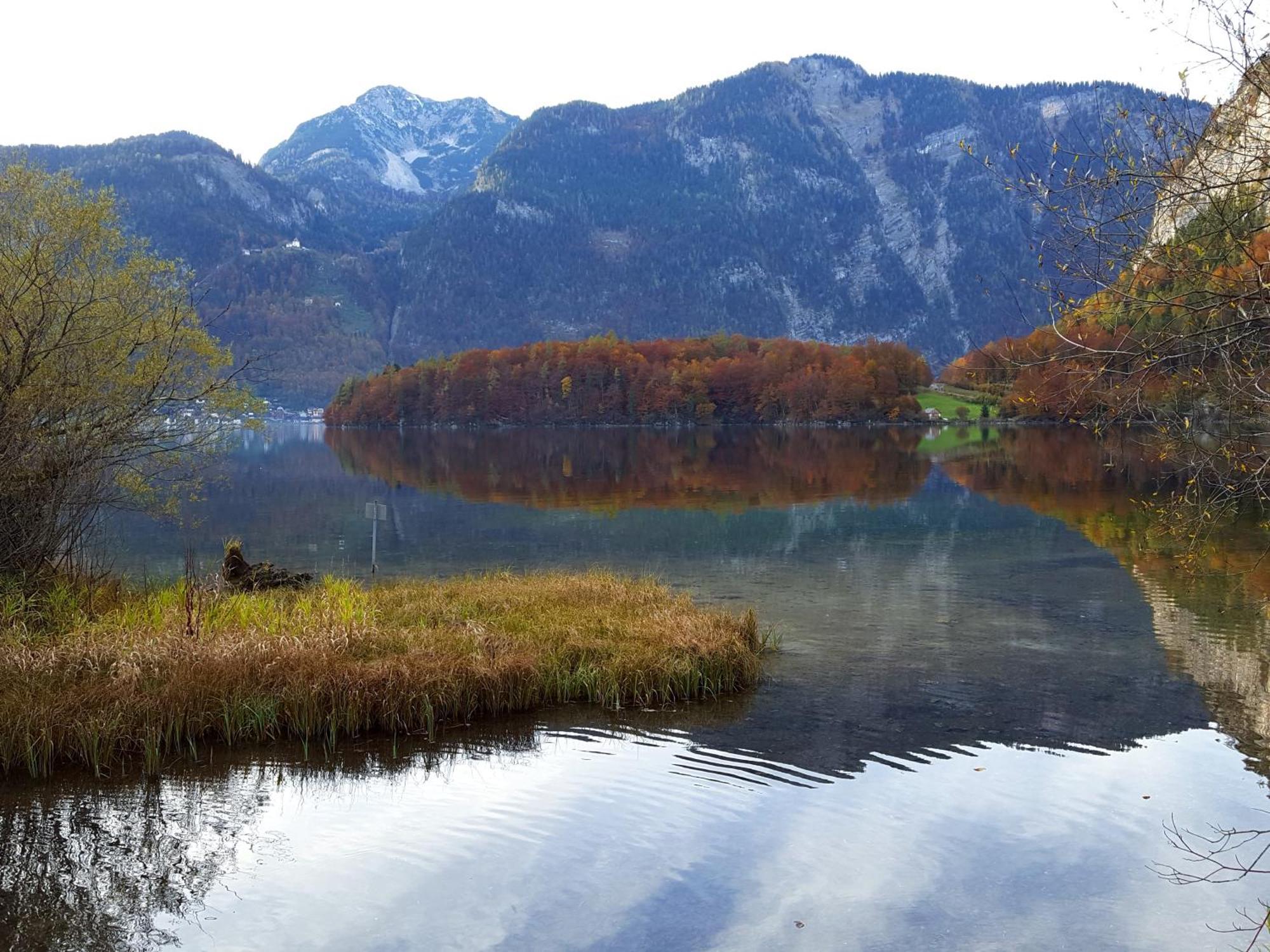 Haus Salzkammergut Obertraun Ngoại thất bức ảnh