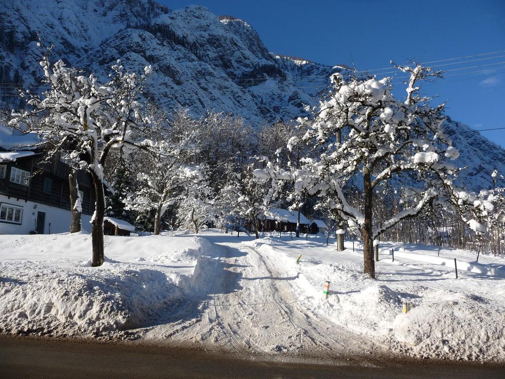 Haus Salzkammergut Obertraun Ngoại thất bức ảnh